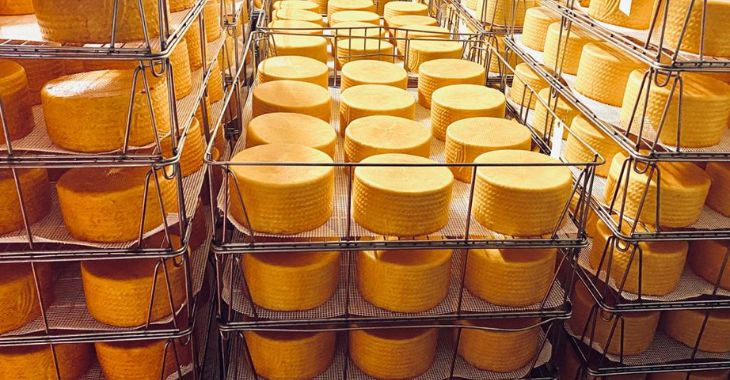 DE LA LECHE AL QUESO: TRADICIÓN, TIEMPO Y SABER HACER EN QUESOS QUEVEDO